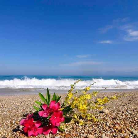 Almyra Beach House Corfu Almiros Beach Esterno foto