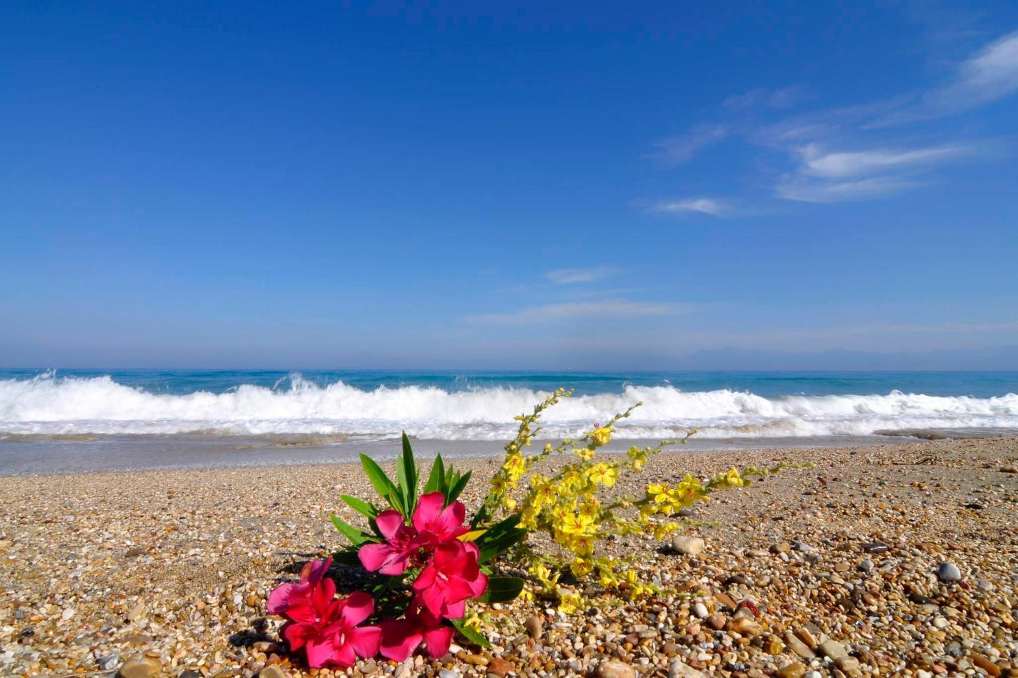 Almyra Beach House Corfu Almiros Beach Esterno foto